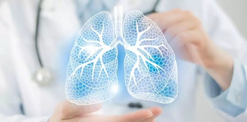 World Pneumonia Day How prolonged exposure to polluted air fuels the disease World Pneumonia Day How prolonged exposure to polluted air fuels the disease