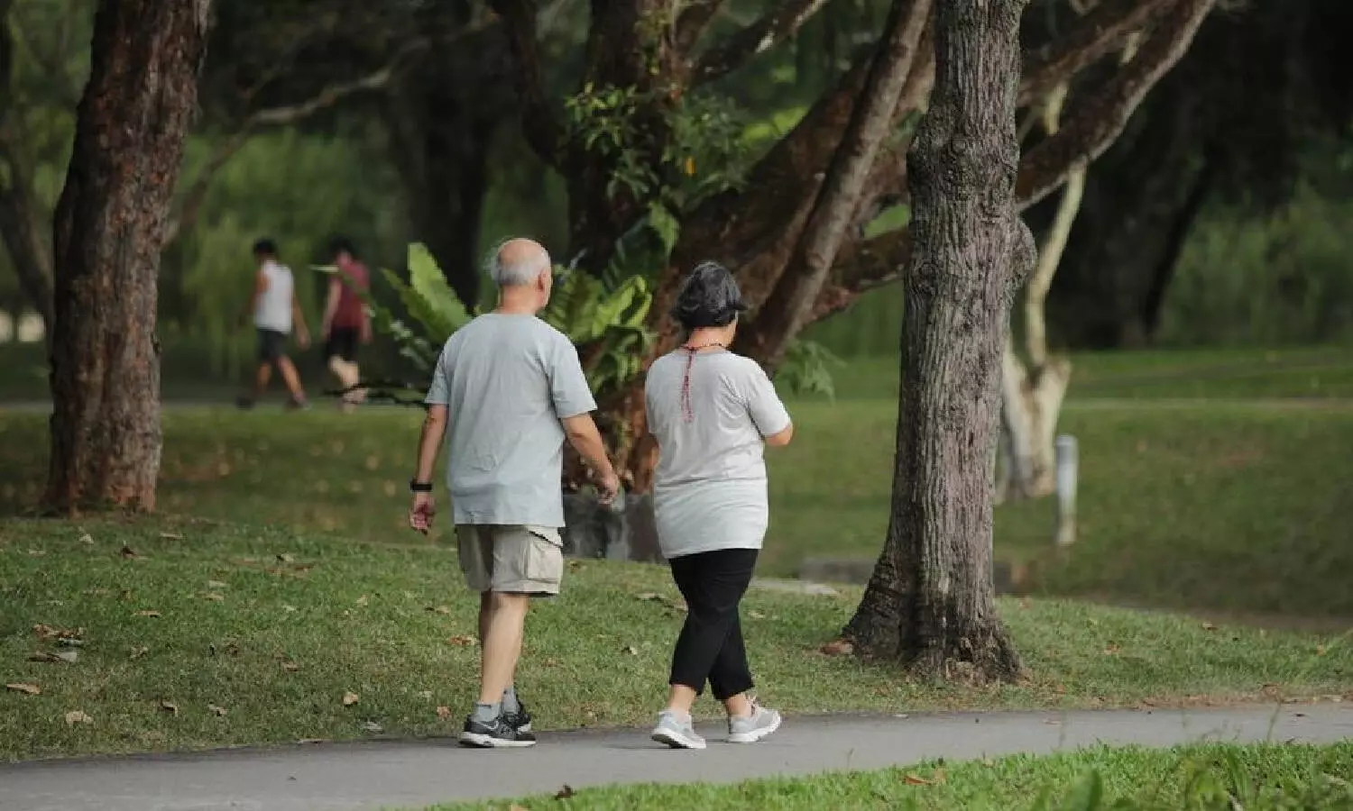 What is Japanese walking? The interval-based fitness trend promising better metabolism, stamina What is Japanese walking? The interval-based fitness trend promising better metabolism, stamina