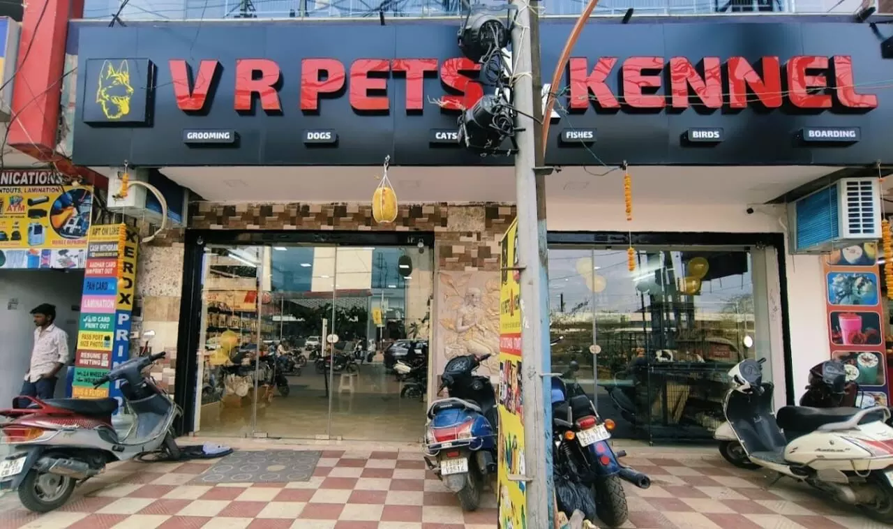 Puppy sold with fatal illness: VR Pets and Kennel in Moosapet fined Puppy sold with fatal illness: VR Pets and Kennel in Moosapet fined