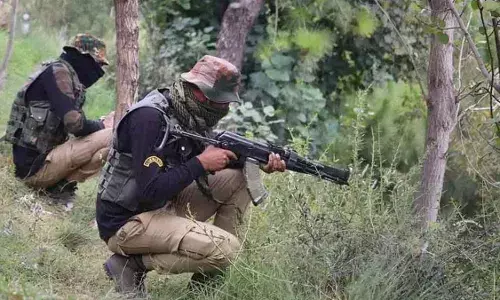 Seven more Maoists killed in Maredumilli forests; police ask surviving cadres to surrender