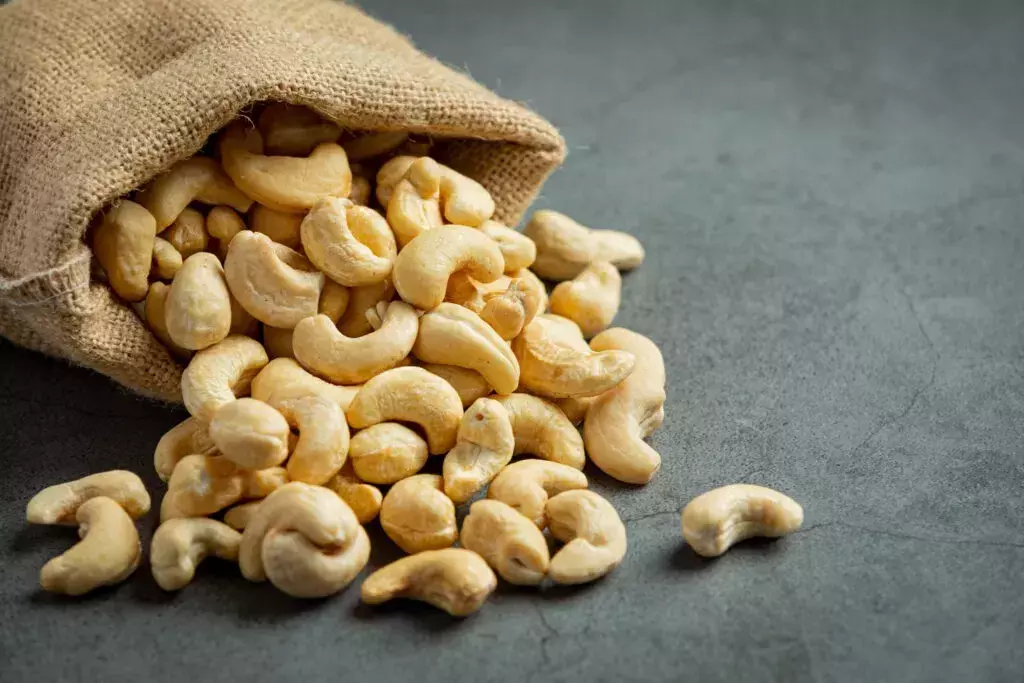 On National Cashew Day, trace the nutās rich history, role in world trade On National Cashew Day, trace the nutās rich history, role in world trade