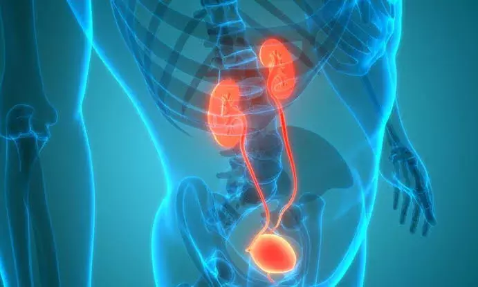 Bladder Health Awareness Month: How night screen use, irregular sleep schedules drive nocturia, urinary urgency Bladder Health Awareness Month: How night screen use, irregular sleep schedules drive nocturia, urinary urgency