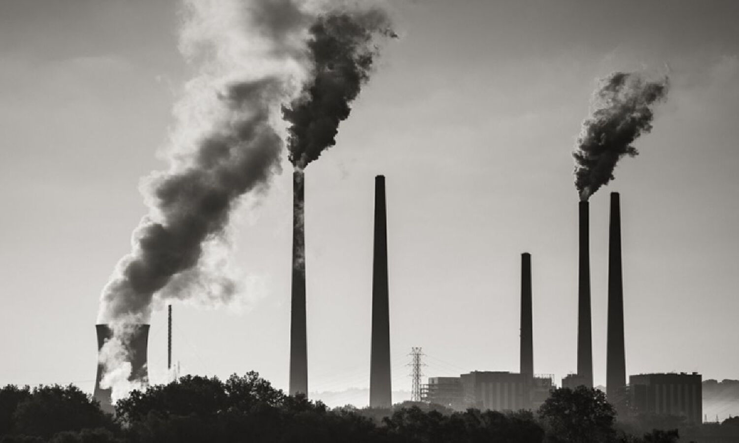 305 Telangana firms closed between Jan 2024 and Oct 2025 for violating pollution norms: TGPCB