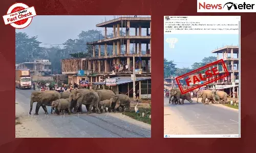 Fact Check: Elephants terrorise Sakleshpur residents? No, video is from Assam Fact Check: Elephants terrorise Sakleshpur residents? No, video is from Assam