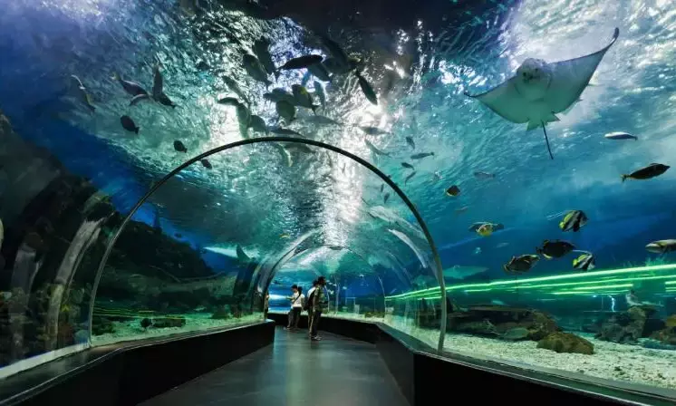 Kotwalguda aqua park and aviary lacks clearance, says plea in HC; seeks stay on inauguration Kotwalguda aqua park and aviary lacks clearance, says plea in HC; seeks stay on inauguration