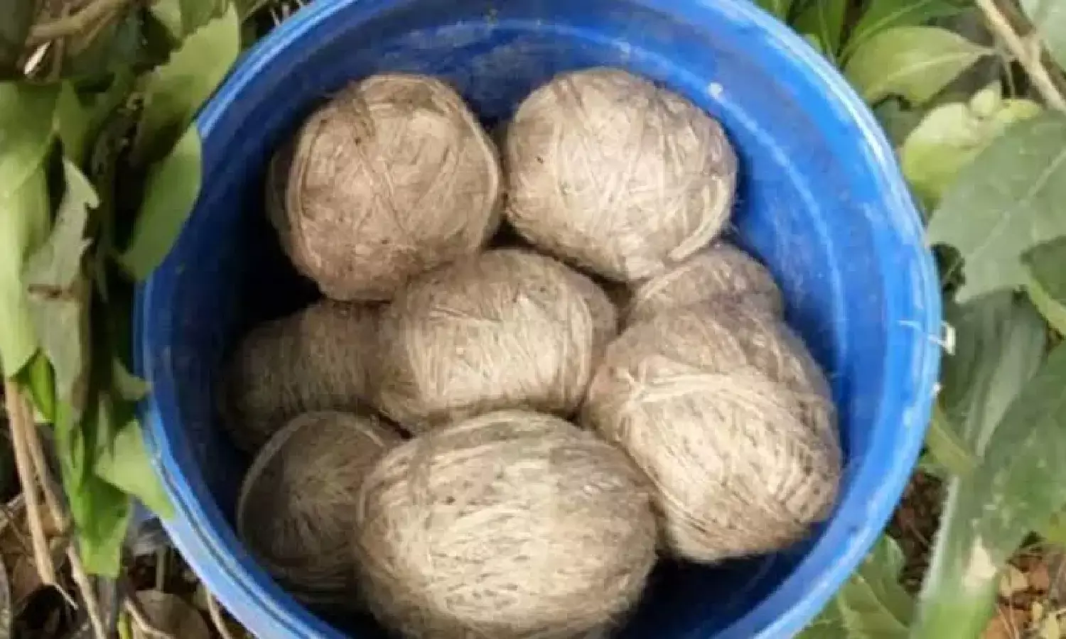 Crude bomb explodes at Kothagudem Railway Station, stray dog killed; no terror angle, say cops