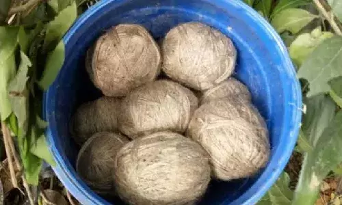 Crude bomb explodes at Kothagudem Railway Station, stray dog killed; no terror angle, say cops