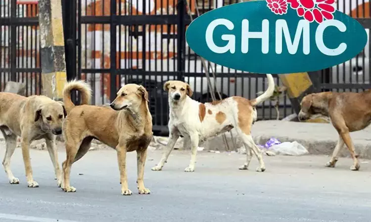 Dogs rehabilitation: HC orders GHMC, MAUD to follow Animal Birth Control guidelines
