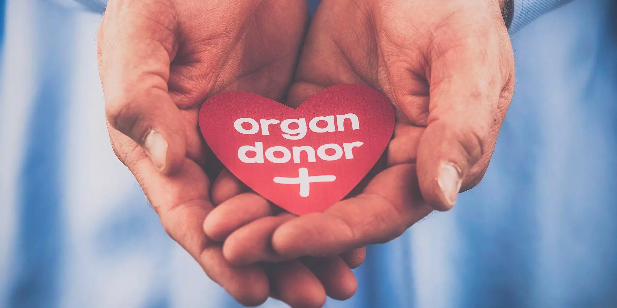 Why living organ donation is a medically viable alternative