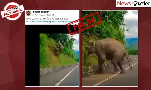 Fact Check: ಸುಳ್ಯ- ಸಂಪಾಜೆ ರಸ್ತೆಯಲ್ಲಿ ಜಾರಿ ಬಿದ್ದ ಗಜರಾಜ ಎಂದು ಎಐ ವೀಡಿಯೊ ವೈರಲ್