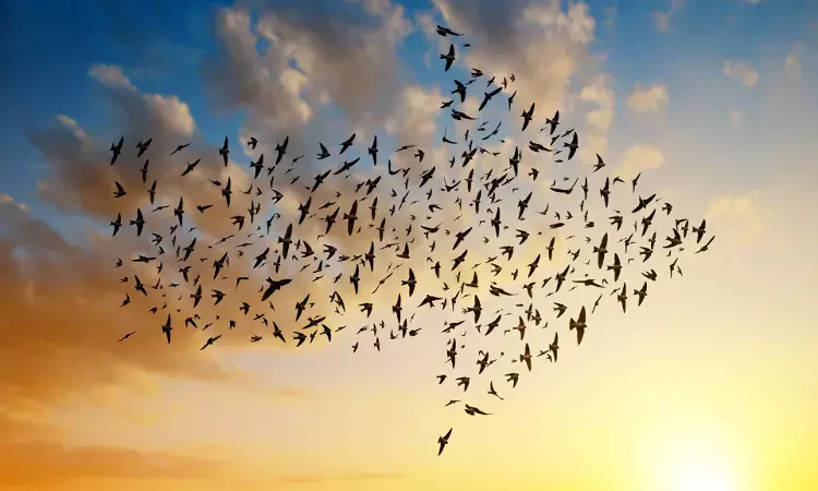 Grey-headed Canary Flycatcher to Pied Cuckoos: Why are birds migrating to habitations in Hyderabad