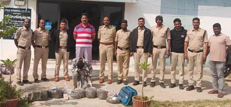 Odisha to Hyderabad ganja smuggling busted: 16 kg seized, multiple accused arrested