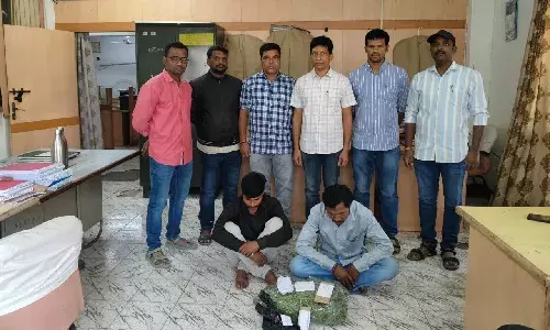 Hyderabad: Ganja cultivation on terrace uncovered in Malakpet, two arrested
