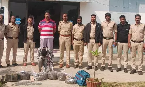 Odisha to Hyderabad ganja smuggling busted: 16 kg seized, multiple accused arrested Odisha to Hyderabad ganja smuggling busted: 16 kg seized, multiple accused arrested