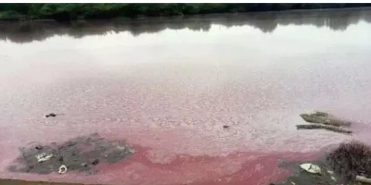 Pharma waste dumping in Domadugu lake: APSC holds protest against Telangana SPCB Pharma waste dumping in Domadugu lake: APSC holds protest against Telangana SPCB