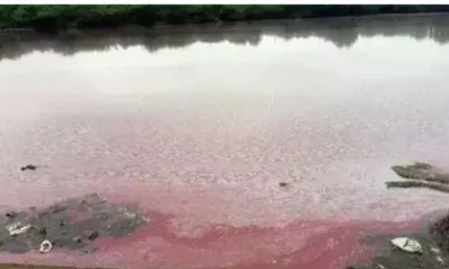 Pharma waste dumping in Domadugu lake: APSC holds protest against Telangana SPCB