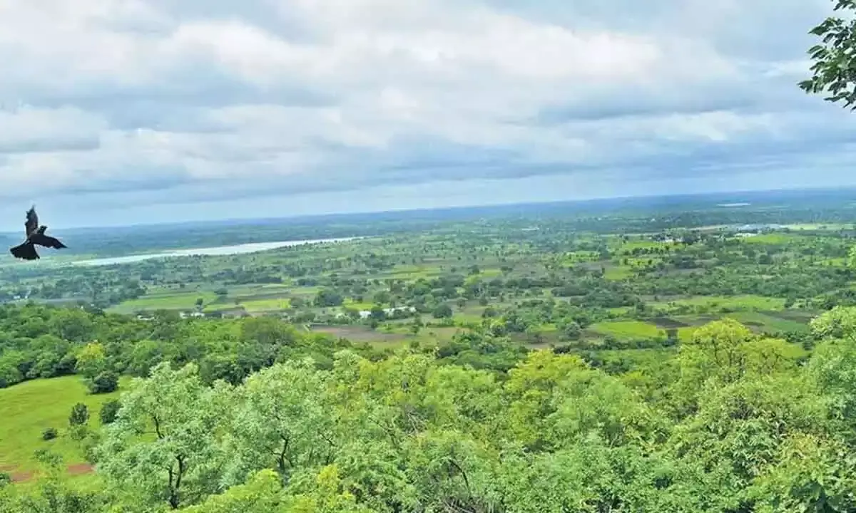 Navy’s ELF radar station: Telangana HC asks Centre, state to submit report on environmental protection