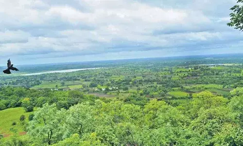 Navyās ELF radar station: Telangana HC asks Centre, state to submit report on environmental protection Navyās ELF radar station: Telangana HC asks Centre, state to submit report on environmental protection