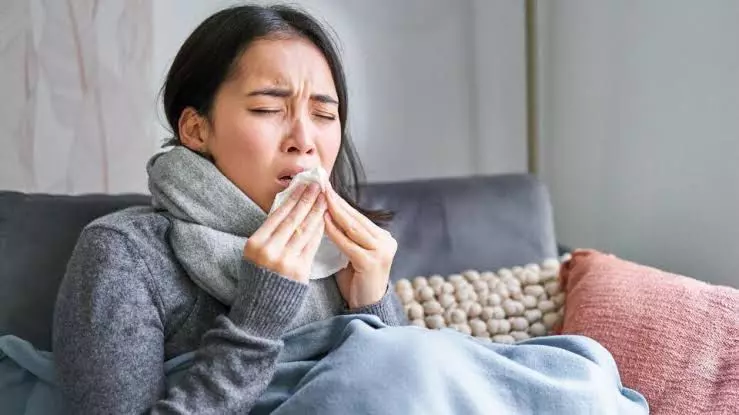 Winter in Telangana: Here are dos and don’ts to combat seasonal flu Winter in Telangana: Here are dos and don’ts to combat seasonal flu