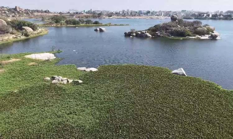 Serene lake to garbage dump: HYDRAA steps in to clean up Amber Cheruvu in Pragathi Nagar