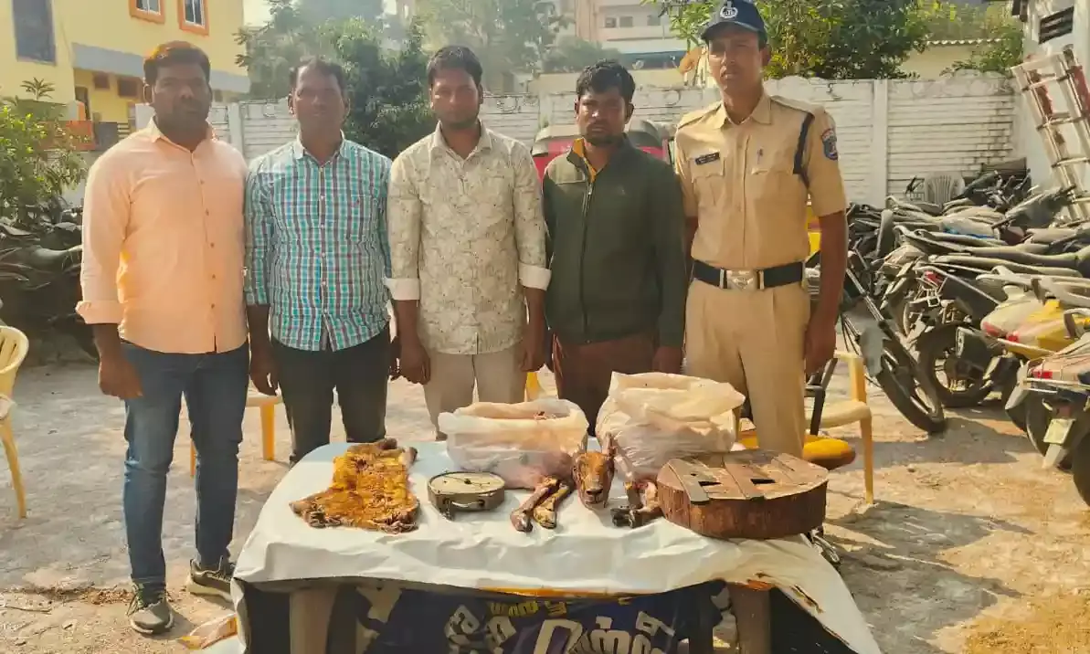 Illegal sale of deer meat busted in Attapur; one held with 15 kg venison