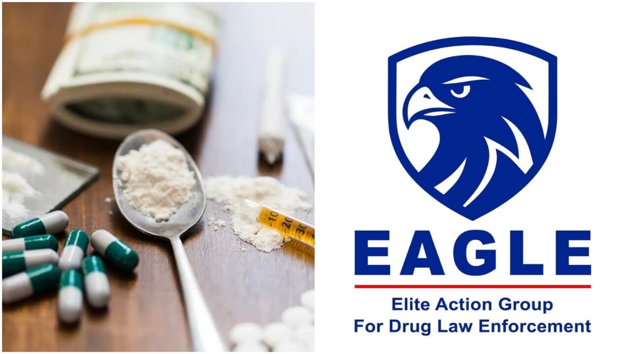 Telangana drug crackdown: EAGLE books 2,542 NDPS cases, seizes Rs 172 crore worth drugs in 2025