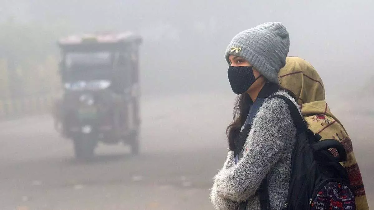Cold wave to grip Telangana from January 5, fog and low day temperatures likely Cold wave to grip Telangana from January 5, fog and low day temperatures likely