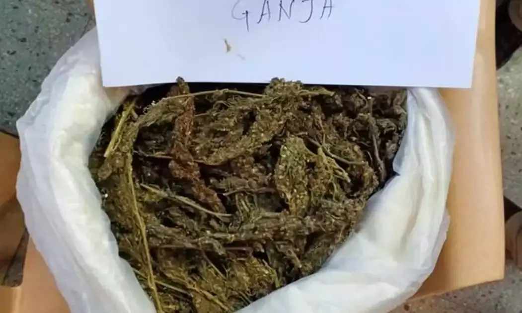 Minor caught with 10 kg of ganja at Nature Cure MMTS station; EAGLE flags Mumbai drug syndicate