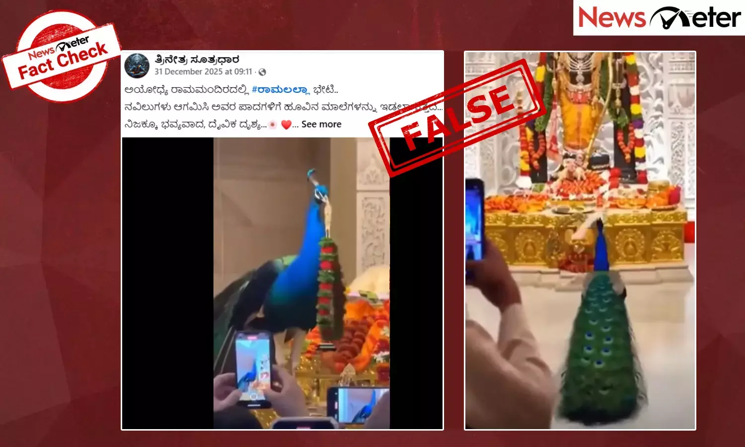 Fact Check: ಅಯೋಧ್ಯೆಯ ರಾಮಲಲ್ಲಾ ದೇವಸ್ಥಾನದಲ್ಲಿ ನವಿಲುಗಳು ಆಗಮಿಸಿ ಹೂವಿನ ಮಾಲೆ ಅರ್ಪಿಸಿದೆಯೇ?