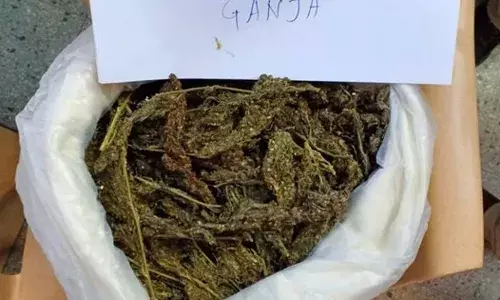Minor caught with 10 kg of ganja at Nature Cure MMTS station; EAGLE flags Mumbai drug syndicate