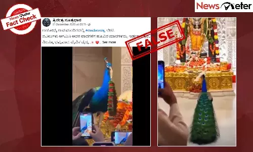 Fact Check: ಅಯೋಧ್ಯೆಯ ರಾಮಲಲ್ಲಾ ದೇವಸ್ಥಾನದಲ್ಲಿ ನವಿಲುಗಳು ಆಗಮಿಸಿ ಹೂವಿನ ಮಾಲೆ ಅರ್ಪಿಸಿದೆಯೇ?