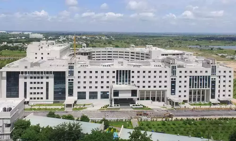 Pay Rs 59.65 crore to get electricity back, Telangana HC tells Sangareddy GITAM on power dues