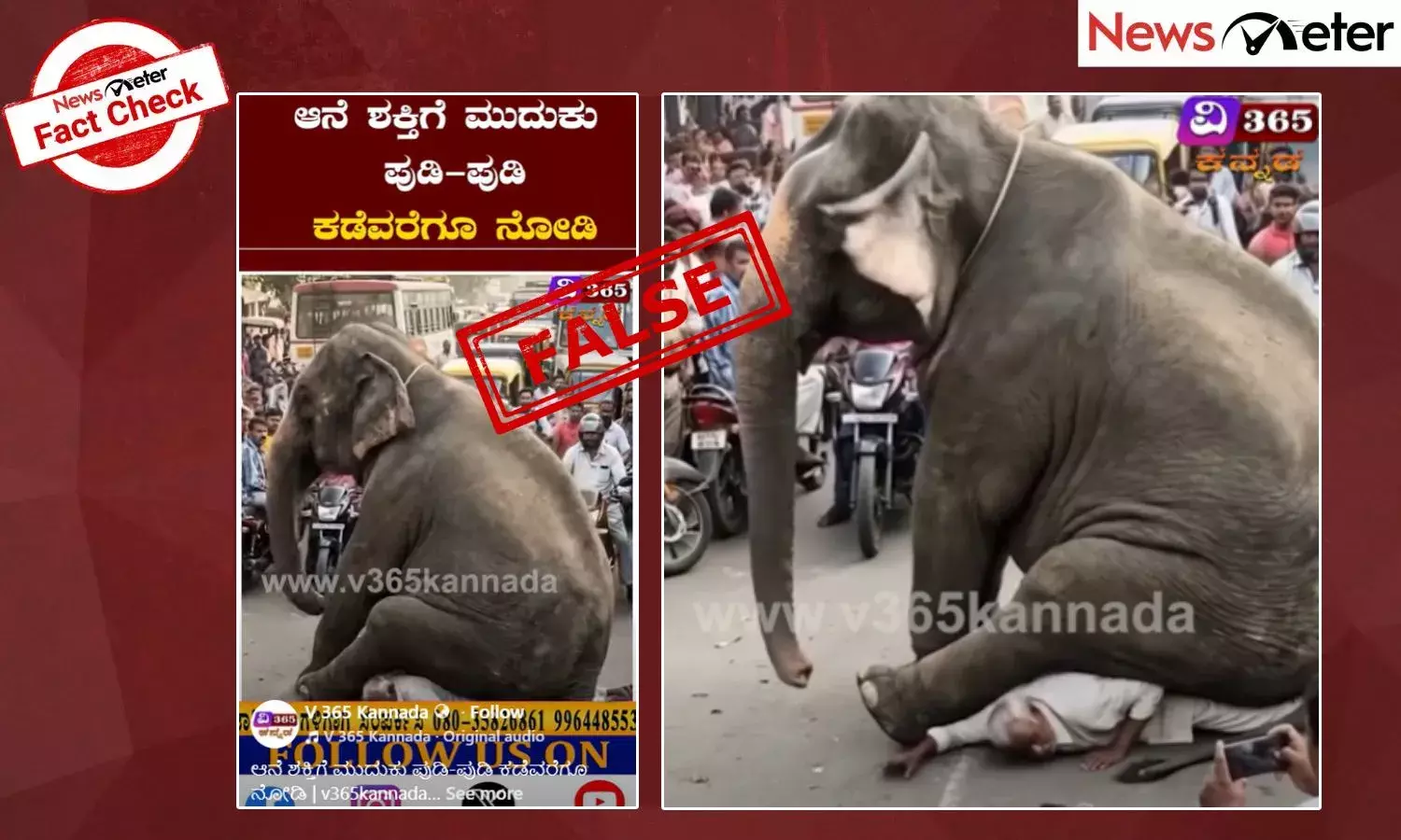 Fact Check: ಆನೆಯೊಂದು ವೃದ್ಧ ವ್ಯಕ್ತಿಯ ಬೆನ್ನಿನ ಮೇಲೆ ಕುಳಿತಿರುವ ವೈರಲ್ ವೀಡಿಯೊ ಎಐ ರಚಿತವಾಗಿದೆ