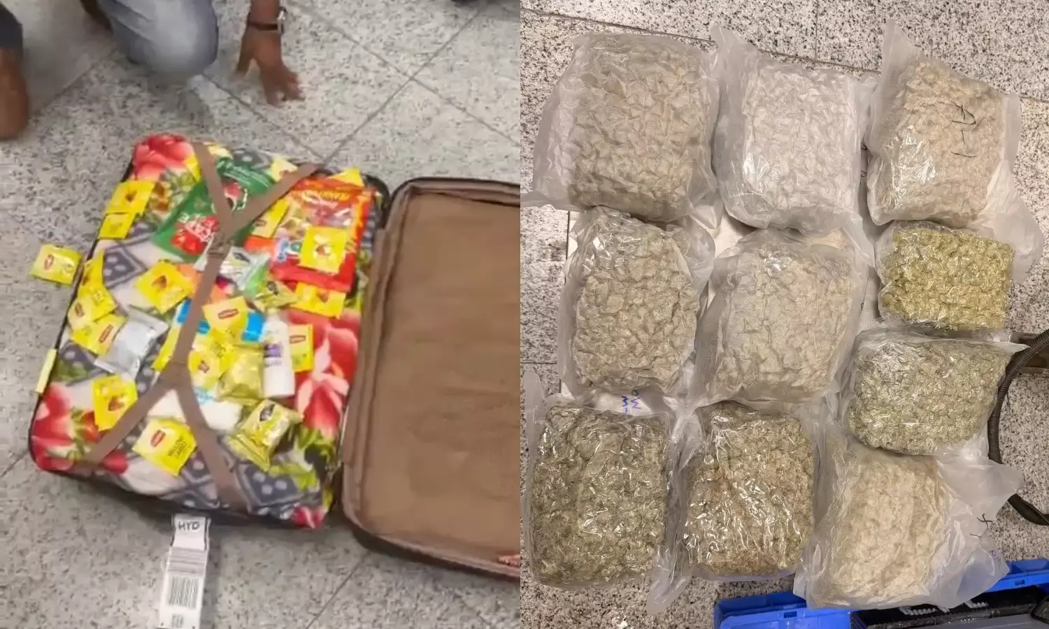 Hyderabad: DRI seizes 27.15 kg hydroponic weed worth Rs 9.5 crore at RGIA, seven arrested