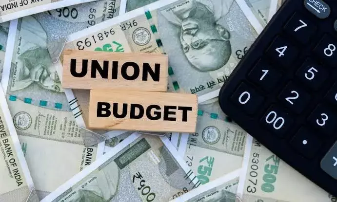 What gets costlier, what gets cheaper: A review of Union Budget