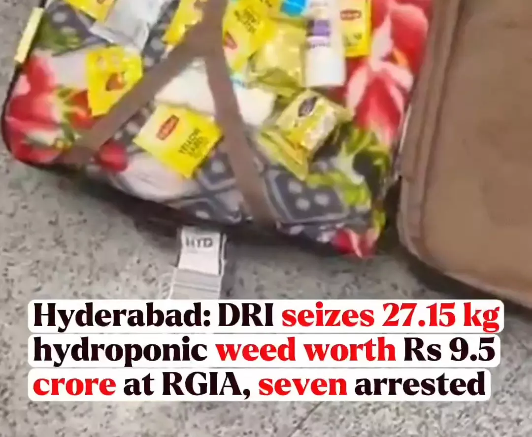 DRI Seizes 27.15 Kg Hydroponic Weed Worth ₹9.5 Crore at Hyderabad Airport, Seven Arrested
