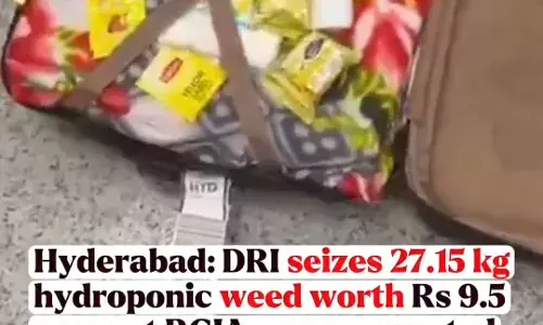 DRI Seizes 27.15 Kg Hydroponic Weed Worth ₹9.5 Crore at Hyderabad Airport, Seven Arrested