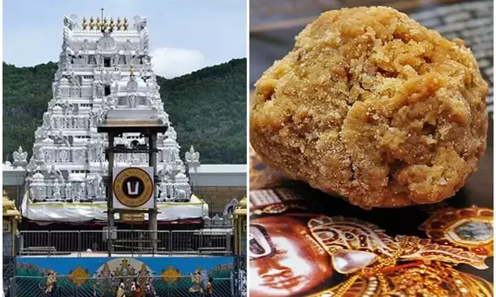 From Korea to Tirumala: SIT finds Monoglycerides used in adulterated ghee supply