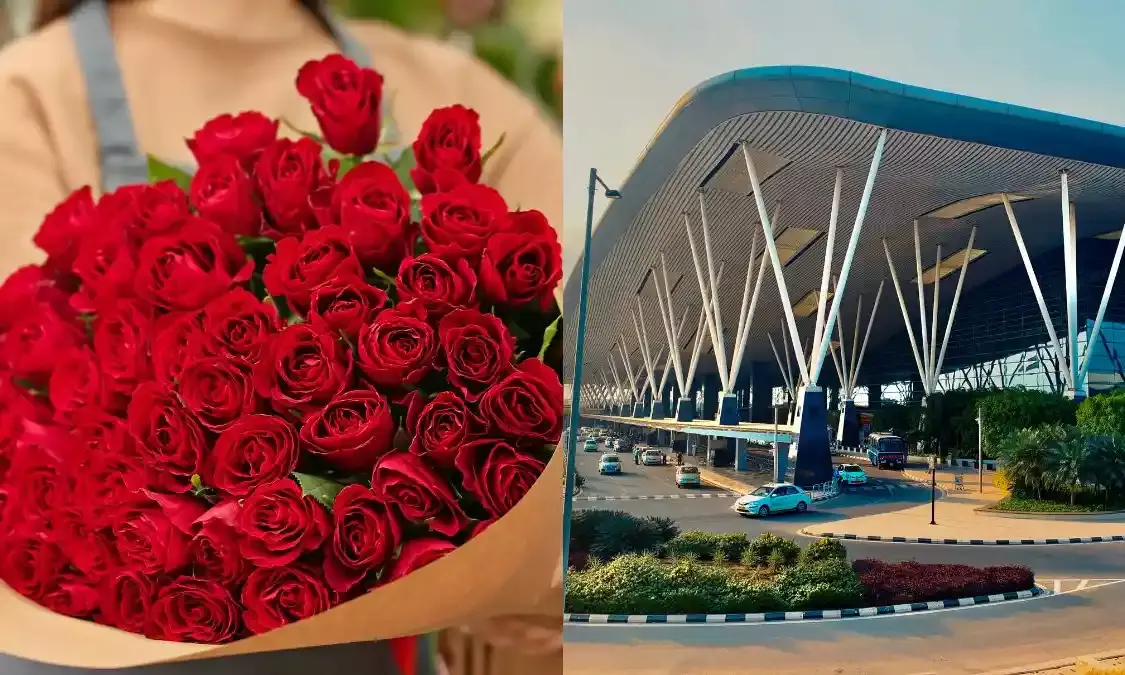 Did you know? 60 million roses shipped via Bengaluru Airport for Valentine’s Day