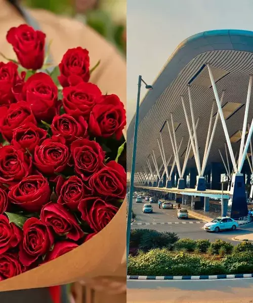 Did you know? 60 million roses shipped via Bengaluru Airport for Valentineās Day Did you know? 60 million roses shipped via Bengaluru Airport for Valentineās Day