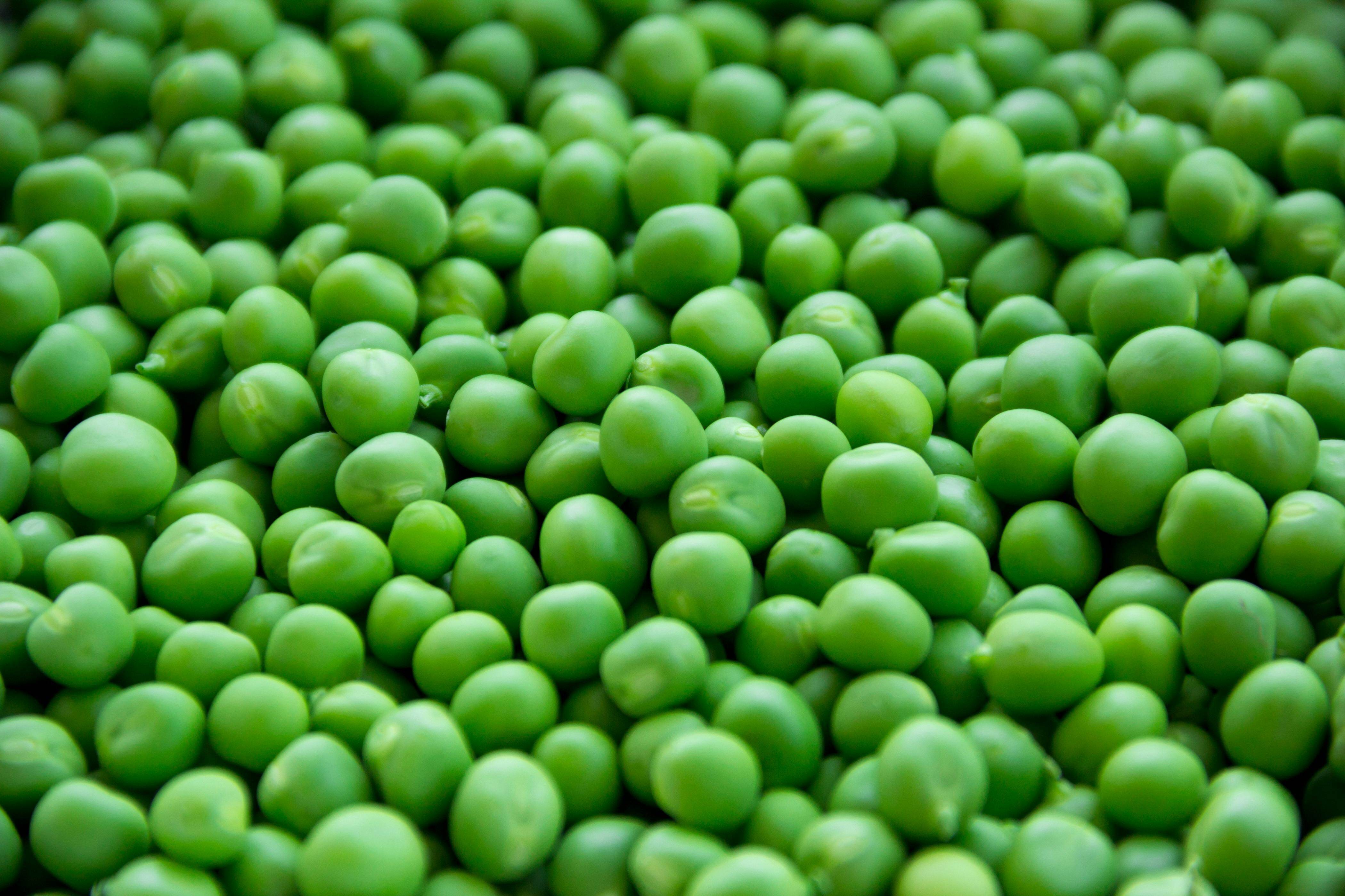 Green Peas: Here are some health benefits of oldest cultivated vegetables