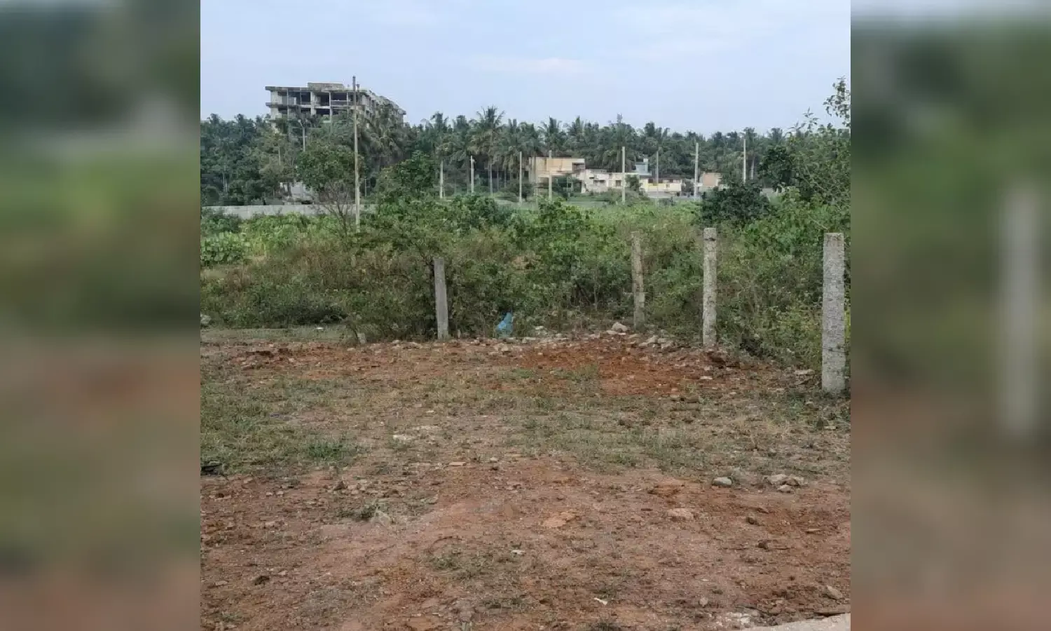 ₹1.76L per square yard: Land prices in Gachibowli set new record in Hyderabad