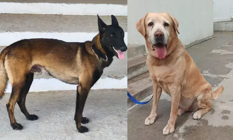 Meet Rana and Rado: Cyberabad’s new police dogs to sniff out bombs and drugs