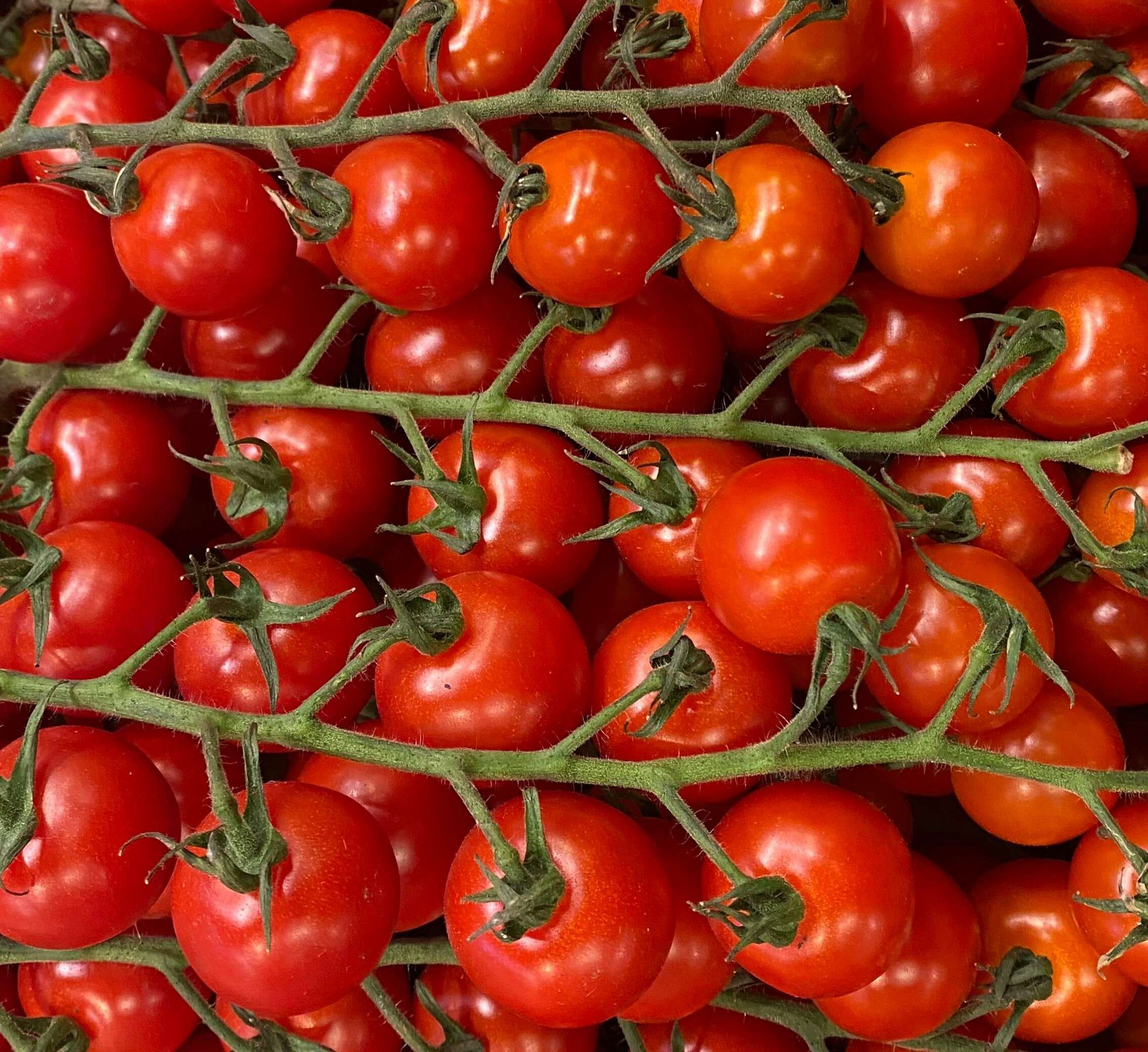 Hyderabad: How to make cherry tomato pasta at home