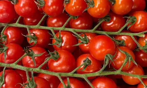 Hyderabad: How to make cherry tomato pasta at home