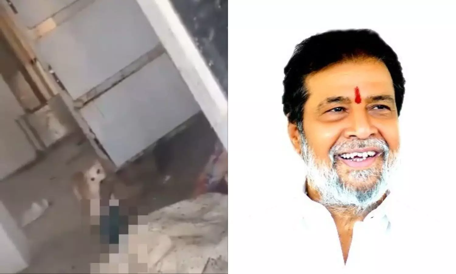 Four suspended after stray dogs attack deceased in Jadcherla Govt Hospital Four suspended after stray dogs attack deceased in Jadcherla Govt Hospital