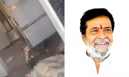 Four suspended after stray dogs attack deceased in Jadcherla Govt Hospital