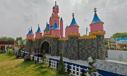 Andhra ready to open Disney-style theme parks; need Rs 60,000 crore, says Minister Kandula Durgesh