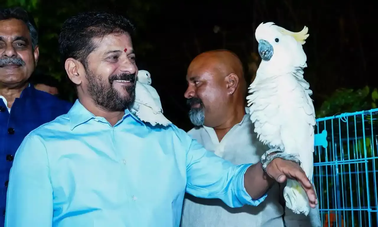 `Unwind by the water: CM Revanth announces night tourism plan for Musi riverfront