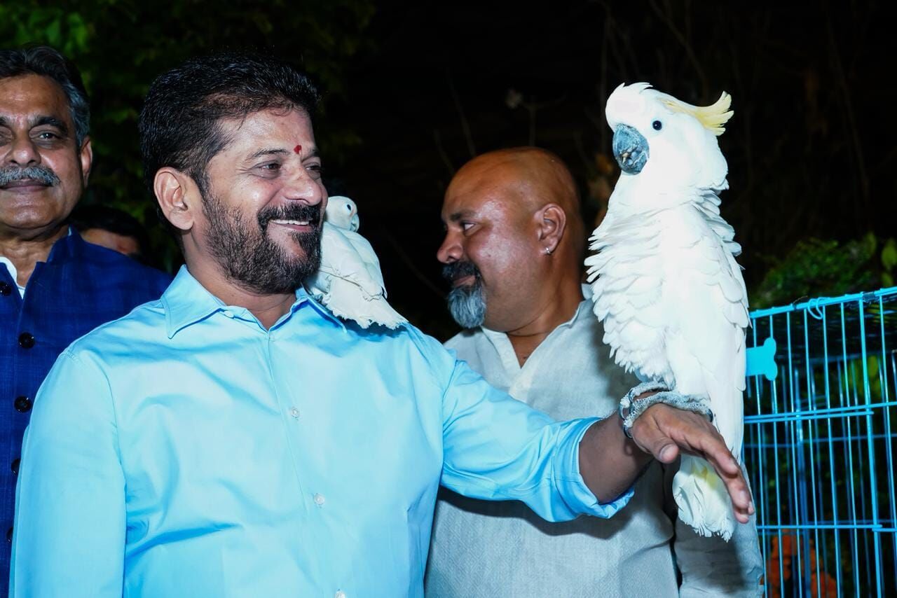 `Unwind by the water': CM Revanth announces night tourism plan for Musi riverfront